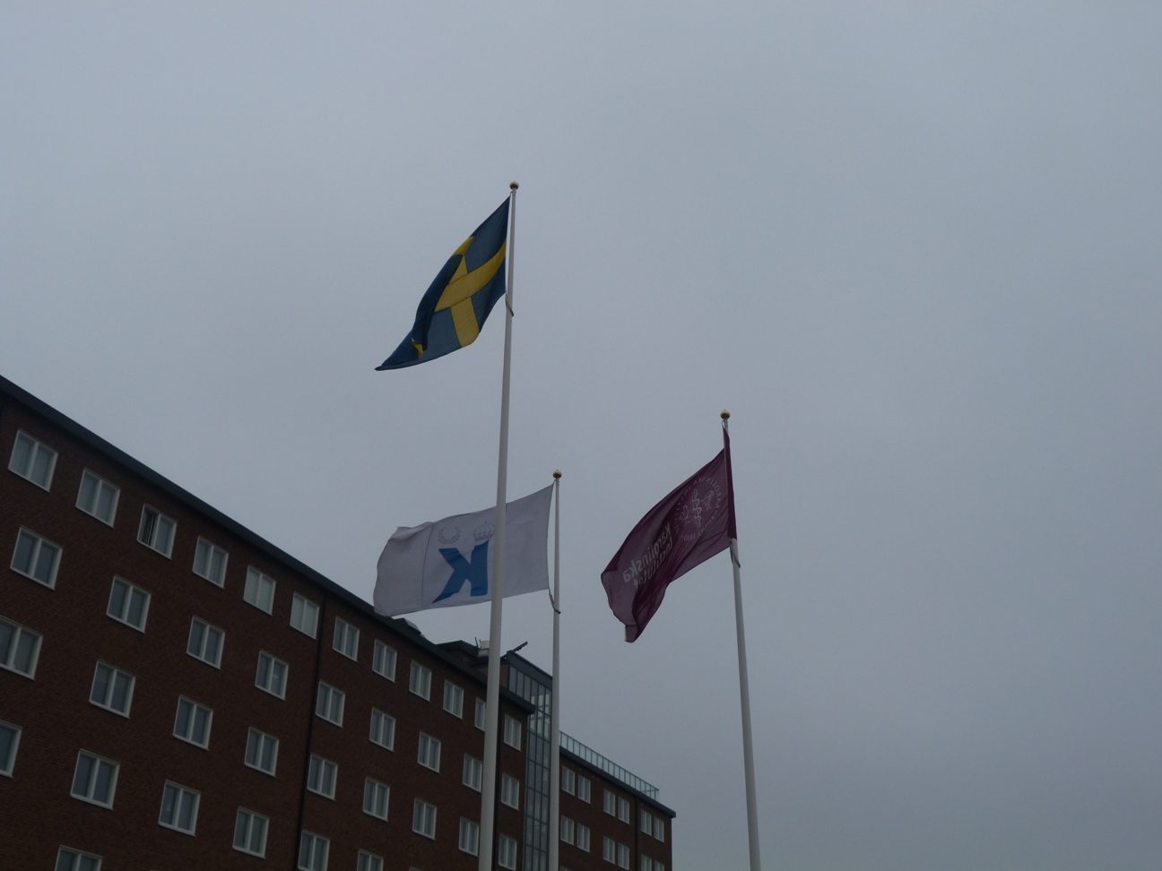 Karolinska%20Institutet%20Solna%20Campus%2C%20Stockholm%20-%2008.JPG